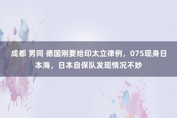 成都 男同 德国刚要给印太立律例，075现身日本海，日本自保队发现情况不妙