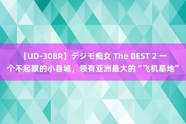 【UD-308R】デジモ痴女 The BEST 2 一个不起眼的小县城，领有亚洲最大的“飞机墓地”