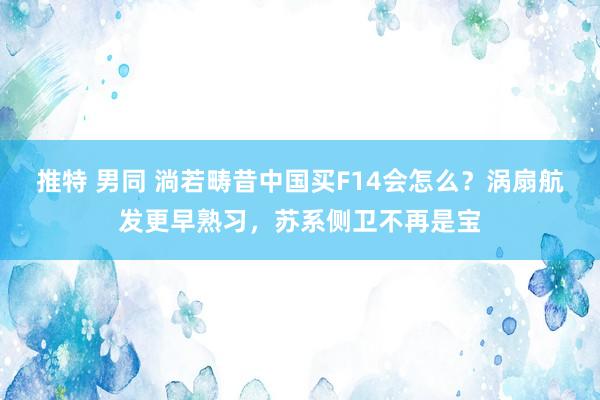 推特 男同 淌若畴昔中国买F14会怎么？涡扇航发更早熟习，苏系侧卫不再是宝