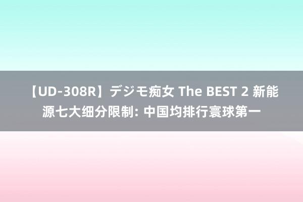 【UD-308R】デジモ痴女 The BEST 2 新能源七大细分限制: 中国均排行寰球第一