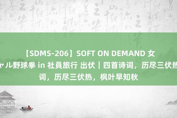 【SDMS-206】SOFT ON DEMAND 女子社員スペシャル野球拳 in 社員旅行 出伏｜四首诗词，历尽三伏热，枫叶早知秋